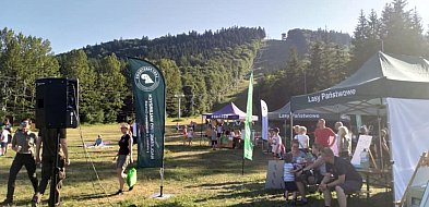 Leśna przygoda na Dzikowcu. Piknik z potencjałem – choć nie wszystko tu gra-18175