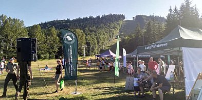 Leśna przygoda na Dzikowcu. Piknik z potencjałem – choć nie wszystko tu gra-18175