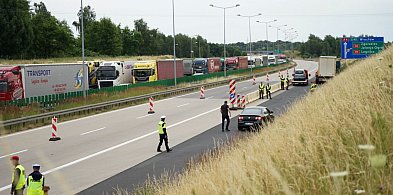 Kontrole graniczne na Dolnym Śląsku – nowa rzeczywistość na granicy-18271