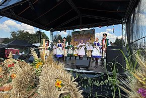 Dożynki w Mieroszowie – Święto Plonów i IV Festiwal Dzika-19382