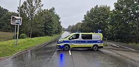 Auto uderzyło w drzewo na ul. Świdnickiej:  Jedna osoba