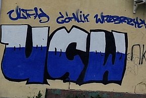 Straż miejska ściga autorów bazgrołów-20101