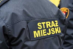 Zapuka strażnik, zapłacisz karę. Ruszyły kontrole w całej Polsce-20468