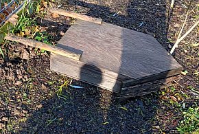 Wandale zniszczyli tzw. hotel dla owadów-21077