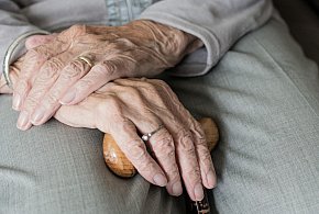 Te osoby dostaną dwie emerytury w grudniu. ZUS przesuwa przelewy-21582