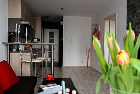 Rewolucja w wynajmie na doby. Nadchodzi koniec "wolnej amerykanki"-21856