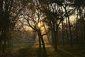 Nadchodzi najkrótszy dzień w 2025 roku. Sprawdź, kiedy przypadnie-22198