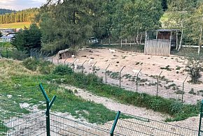 Mieroszów: Policja i prokuratura wkroczyły do ZOO Łączna