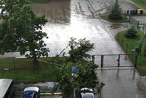 Połamane drzewa, zalane ulice. Burza nad Wałbrzychem