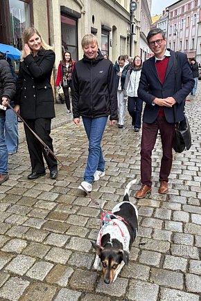 III Parada Przyjaciół Schroniska-650