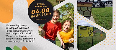 Miodobranie w Starej Kopalni-68548
