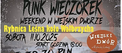 Punk Wieczorek w Wiejskim Dworze-767