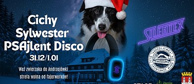 PSAjlent Disco w Andrzejówce-1051