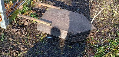 Wandale zniszczyli tzw. hotel dla owadów-21077