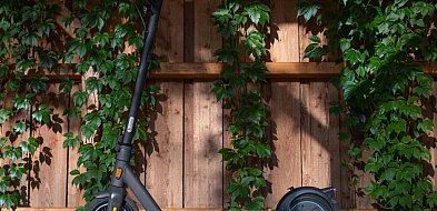 Hulajnogi elektryczne w Wałbrzychu: Frajda czy zagrożenie?-21182