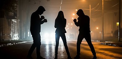 Nastolatka brała udział w bójce. Była poszukiwana-21194