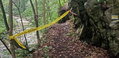 Nadleśnictwo naprawia Ścieżkę Hochbergów-21305