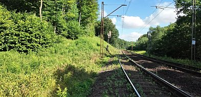 Kiedyś to było: Tropem Złotego Pociągu i tajemnicy 61 km-21726