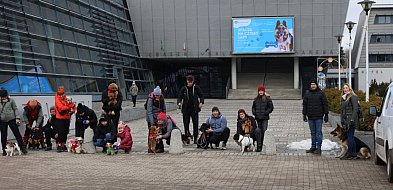 Wałbrzych: udany start akcji Na Cztery Łapy. 14 kilo karmy dla schroniska-21903