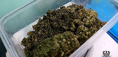 71-latek zatrzymany z marihuaną. Grożą mu 3 lata więzienia-22110