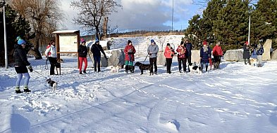 Aqua Pupil - przekazali 44 kg karmy w grudniu-22453