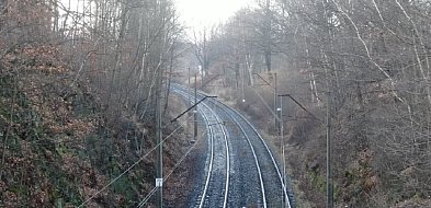 Złoty Pociąg w innym miejscu niż 10 lat temu?-22699