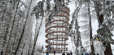 Dzikowiec w kadrze. Powiat Wałbrzyski szuka zdjęcia, które opowie region