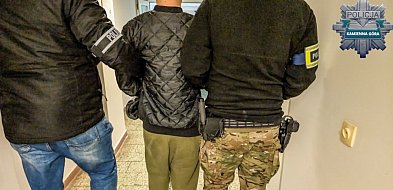 Damski bokser znów w rękach policji. Czy tym razem trafi do aresztu?