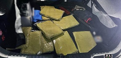 Zatrzymano 10 kg substancji z rośliny służącej do rytuałów