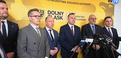 PSL i Bezpartyjni Samorządowcy o 'Bezpiecznej Polsce'