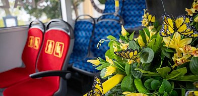 Kwietny autobus wyjeżdża na ulice Wałbrzycha