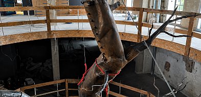 Muzeum Tygiel nabiera kształtów