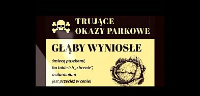 Dzbany jałowe, pokrętne buraki i inne okazy