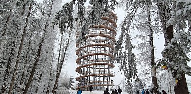 Dzikowiec w kadrze. Powiat Wałbrzyski szuka zdjęcia, które opowie region
