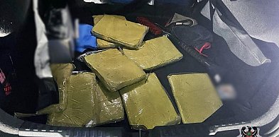 Zatrzymano 10 kg substancji z rośliny służącej do rytuałów