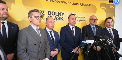 PSL i Bezpartyjni Samorządowcy o 'Bezpiecznej Polsce'
