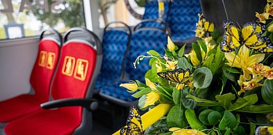 Kwietny autobus wyjeżdża na ulice Wałbrzycha