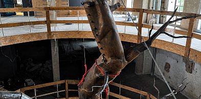 Muzeum Tygiel nabiera kształtów