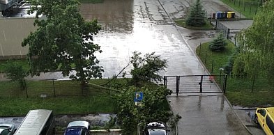 Połamane drzewa, zalane ulice. Burza nad Wałbrzychem