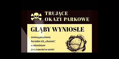 Dzbany jałowe, pokrętne buraki i inne okazy