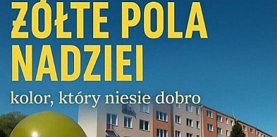 Żółte Pola Nadziei znów zakwitną w Wałbrzychu-20409