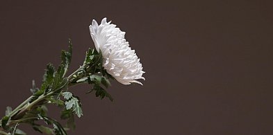 Nie żyje kierowca, który dachował na Dzikowcu-21482