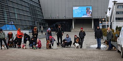 Wałbrzych: udany start akcji Na Cztery Łapy. 14 kilo karmy dla schroniska-21903