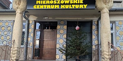 Mieszkańcy Mieroszowa wspólnie ubierają choinkę-22017