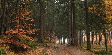 Nowy film na kanale Niech to szlak!-22227