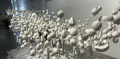 12 miesięcy w towarzystwie porcelany-22270