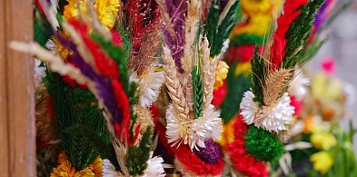 Konkurs na najpiękniejszą palmę w Szczawnie-Zdroju