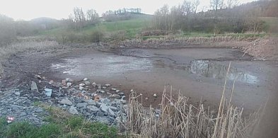 Gostków. Żaby zasypywane żywcem. I cisza przysypana przez gruz