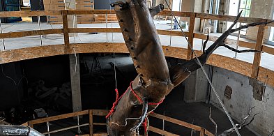 Muzeum Tygiel nabiera kształtów