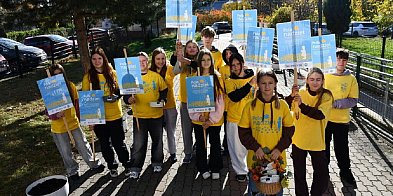 Świebodzice: Rozrosną się żonkilowe pola nadziei-20900